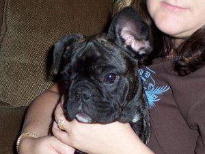 Tucker&Mommy(Resized).JPG