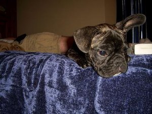 TuckeronBed(Resized).JPG