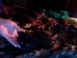 Photo 477.jpg