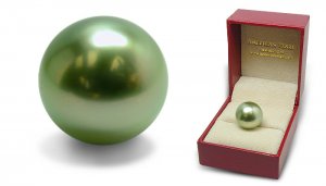 droolpearl.jpg