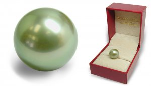 droolpearl01.jpg