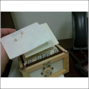 guest box 4.jpg