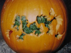 IMG_1250 pumpkin freke.jpg