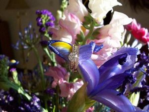 ringpic9s.jpg