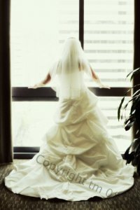 320_tm034[1].jpg
