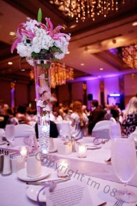 320_tm323[2].jpg