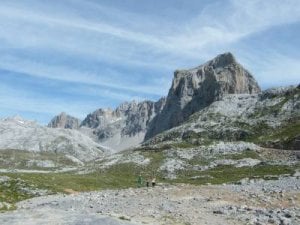 netinpicos.jpg