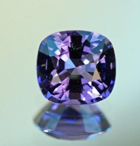 spinelforevergemsteon0809.JPG