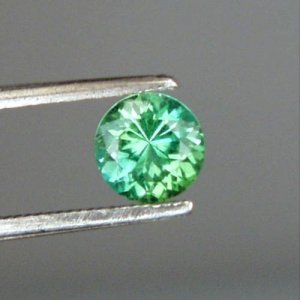 gemlinevendorpic1.jpg