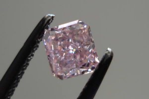 r2978a.jpg