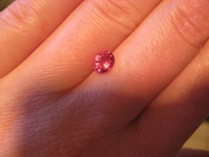 IMG_bspinel1215.jpg