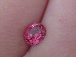 IMG_bspinel1221.jpg