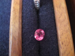 IMG_bspinel1227.jpg