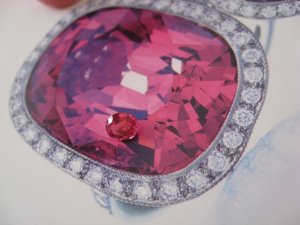 IMG_bspinel1239.jpg