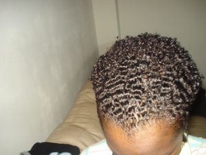 curlyps2.jpg