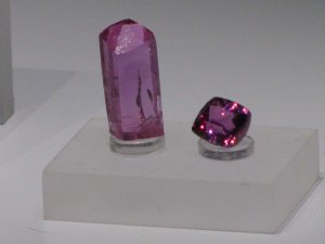 IMG_09600.JPG