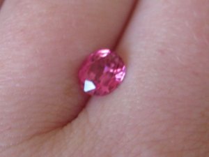 IMG_bspinel1220.jpg
