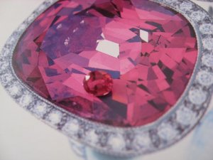 IMG_bspinel1238.jpg