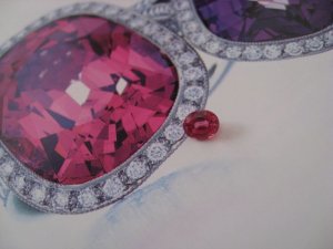IMG_bspinel1236.jpg