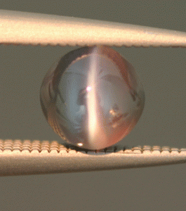 CEAlex0_65ct.gif CEAlex0_65ct.gif