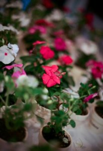 Reception 1 - Favors.JPG