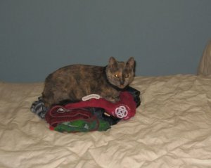 IMG_2682_Sam.jpg