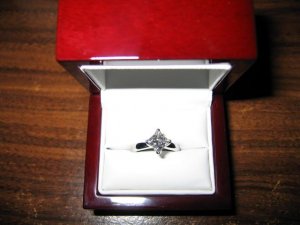 IMG_4643 (Small).jpg IMG_4643 (Small).jpg