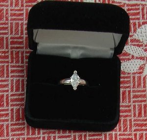 ring on bench.jpg