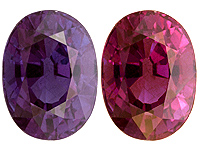 b_cg6427aa.jpg