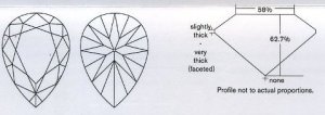 certSafetyFirst.jpg
