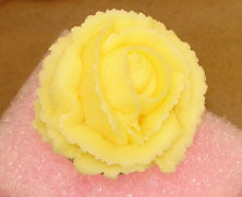 rosesamp.jpg