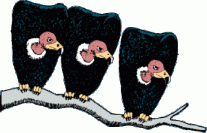 vultures.gif