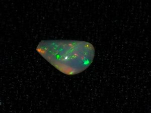 newopals1.JPG