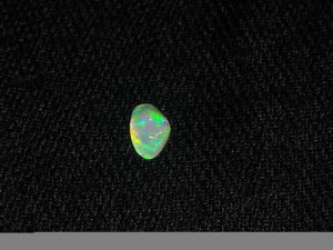 newopals5.JPG