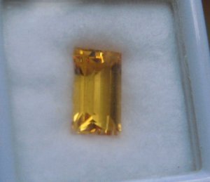 gold5270.JPG