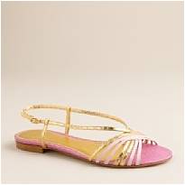 ShoePicture188434.jpg ShoePicture188434.jpg