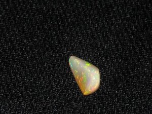 newopals2.JPG