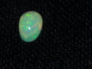 newopals3.JPG