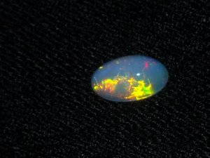 newopals.JPG
