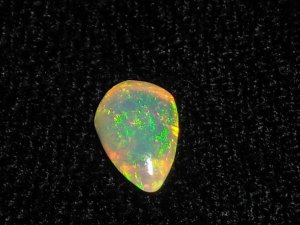 newopals9.JPG