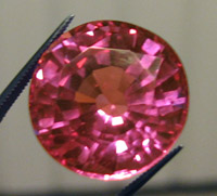 pink_topa.jpg