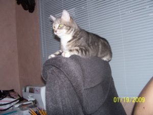 100_1046 - Copy.JPG