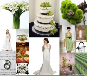 GreenCanvas01112010.jpg