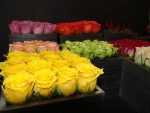 11111ro034.jpg
