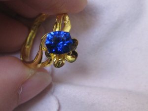 IMG7025a.JPG