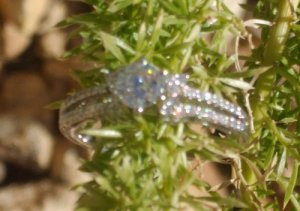 rings 005a.jpg