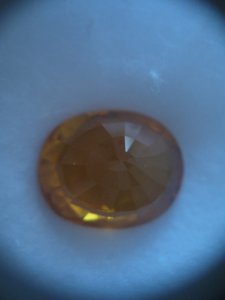 IMG_4624.jpg