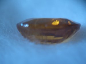IMG_4635.JPG
