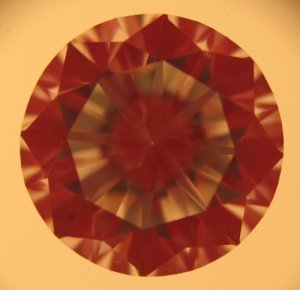 jgny23ct.JPG