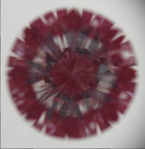jgny43ct.JPG